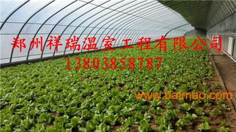 單體蔬菜大棚簡易大棚設計建造商大棚配件銷售,單體蔬菜大棚簡易大棚設計建造商大棚配件銷售生產廠家,單體蔬菜大棚簡易大棚設計建造商大棚配件銷售價格