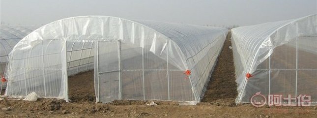 溫室大棚配件與花卉大棚骨架機 現代化農業生產的堅實支撐