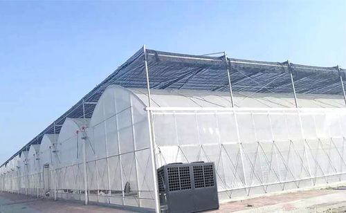 大棚水產養殖的恒溫衛士 技術與應用解析